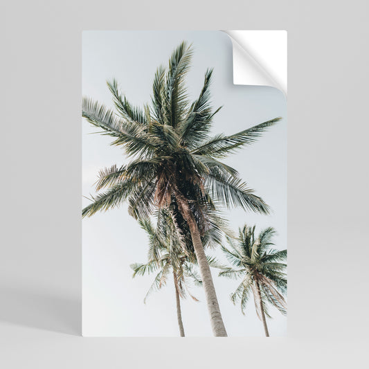 PALM PARADISE SIGHT Svislý samolepicí plakát