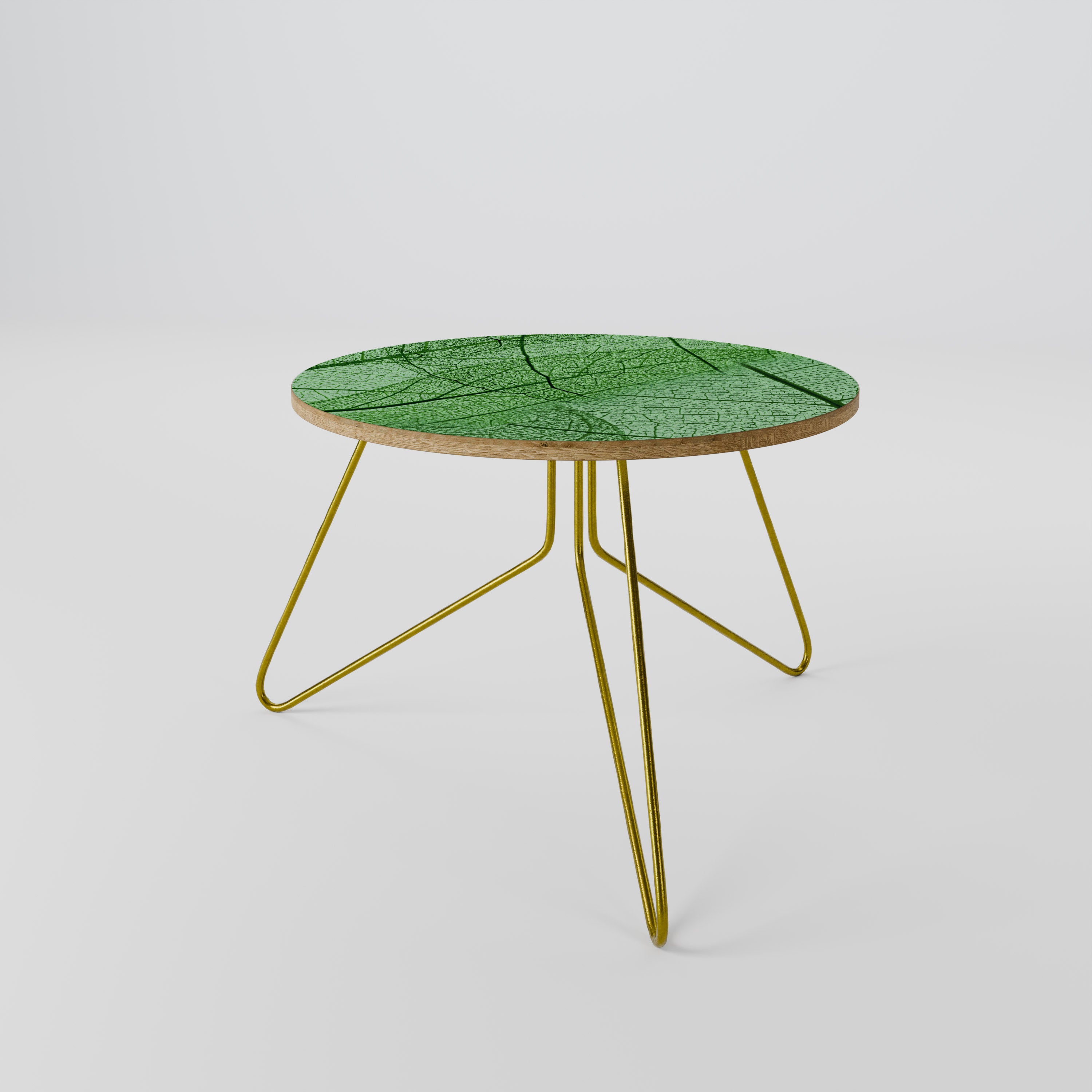 VEINS OF LIFE Coffee Table