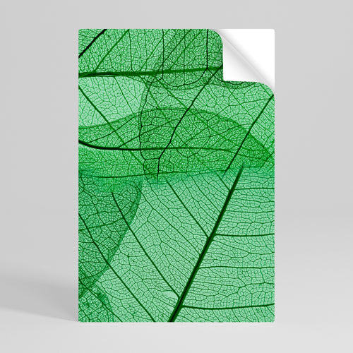 VEINS OF LIFE Svislý samolepicí plakát