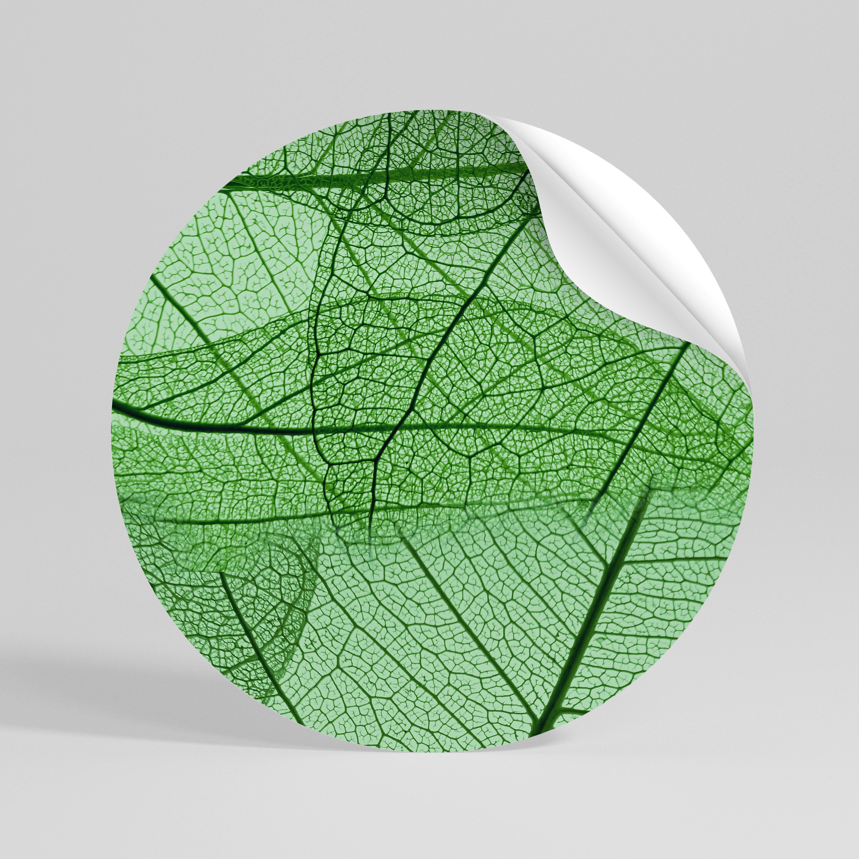 VEINS OF LIFE Kulatá samolepka