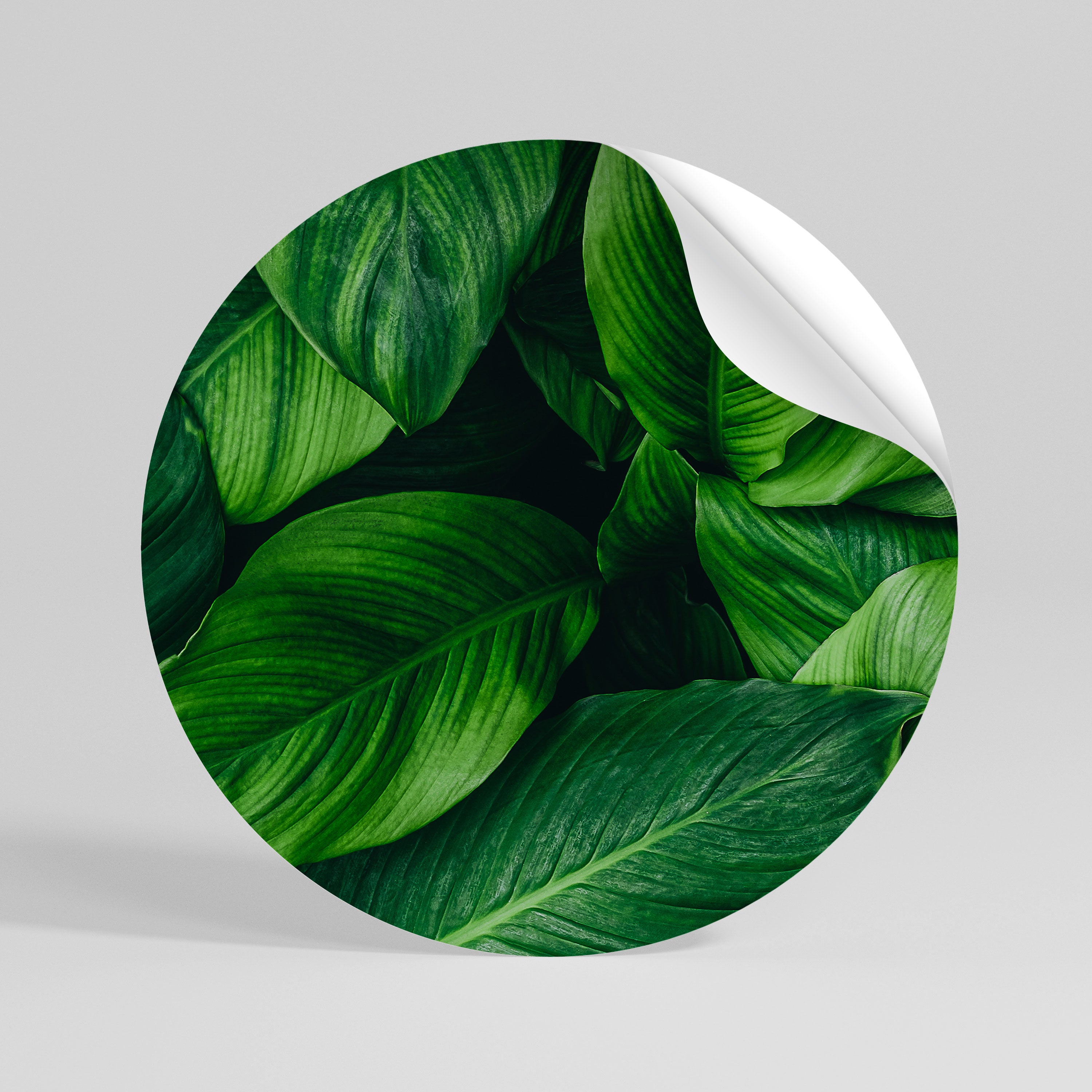 VIBRANT LEAFY EMBRACE Kulatá samolepka