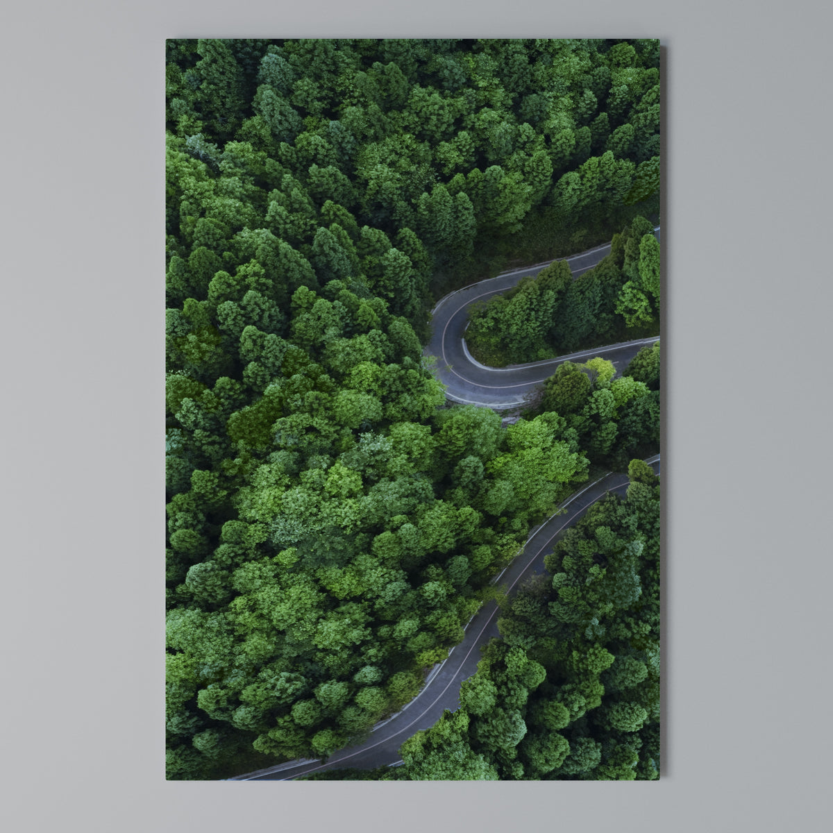 ENCHANTED FOREST RIDE Vertical Canvas Print