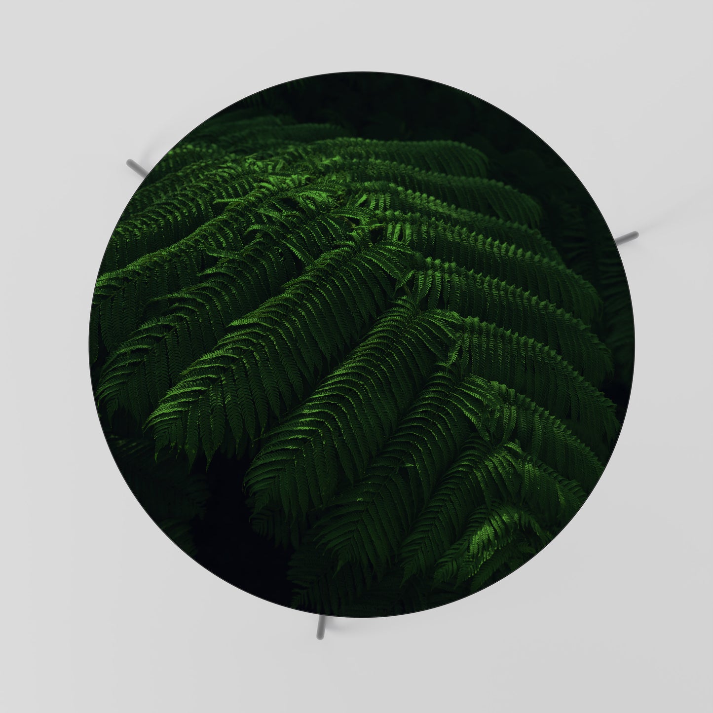 FERN FANTASY Konferenční stolek