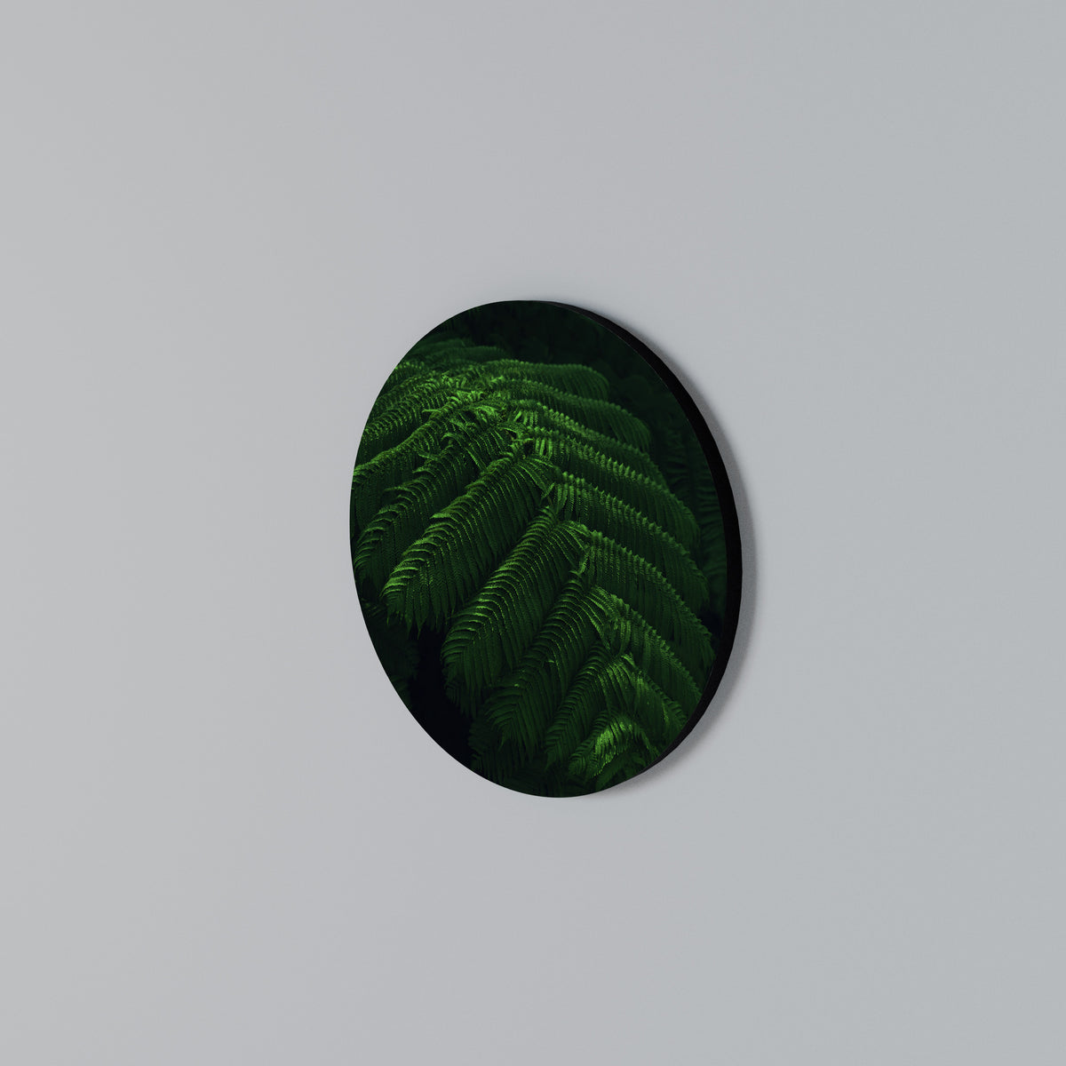 FERN FANTASY Kulatá nástěnná dekorace