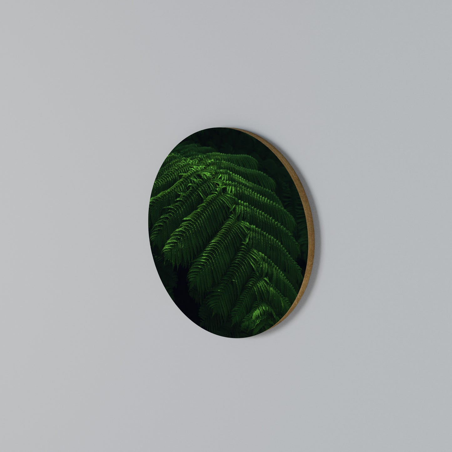 FERN FANTASY Kulatá nástěnná dekorace