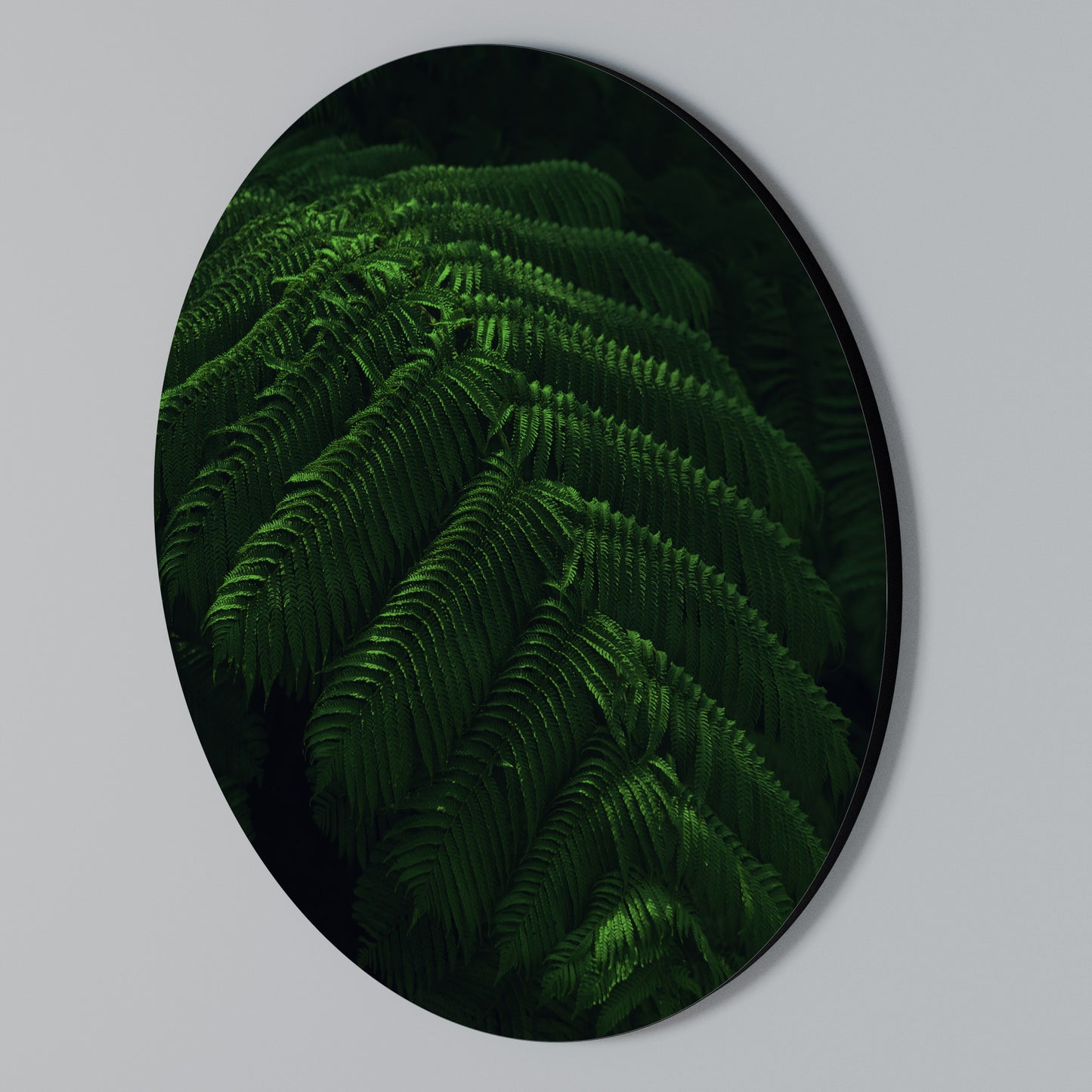 FERN FANTASY Kulatá nástěnná dekorace