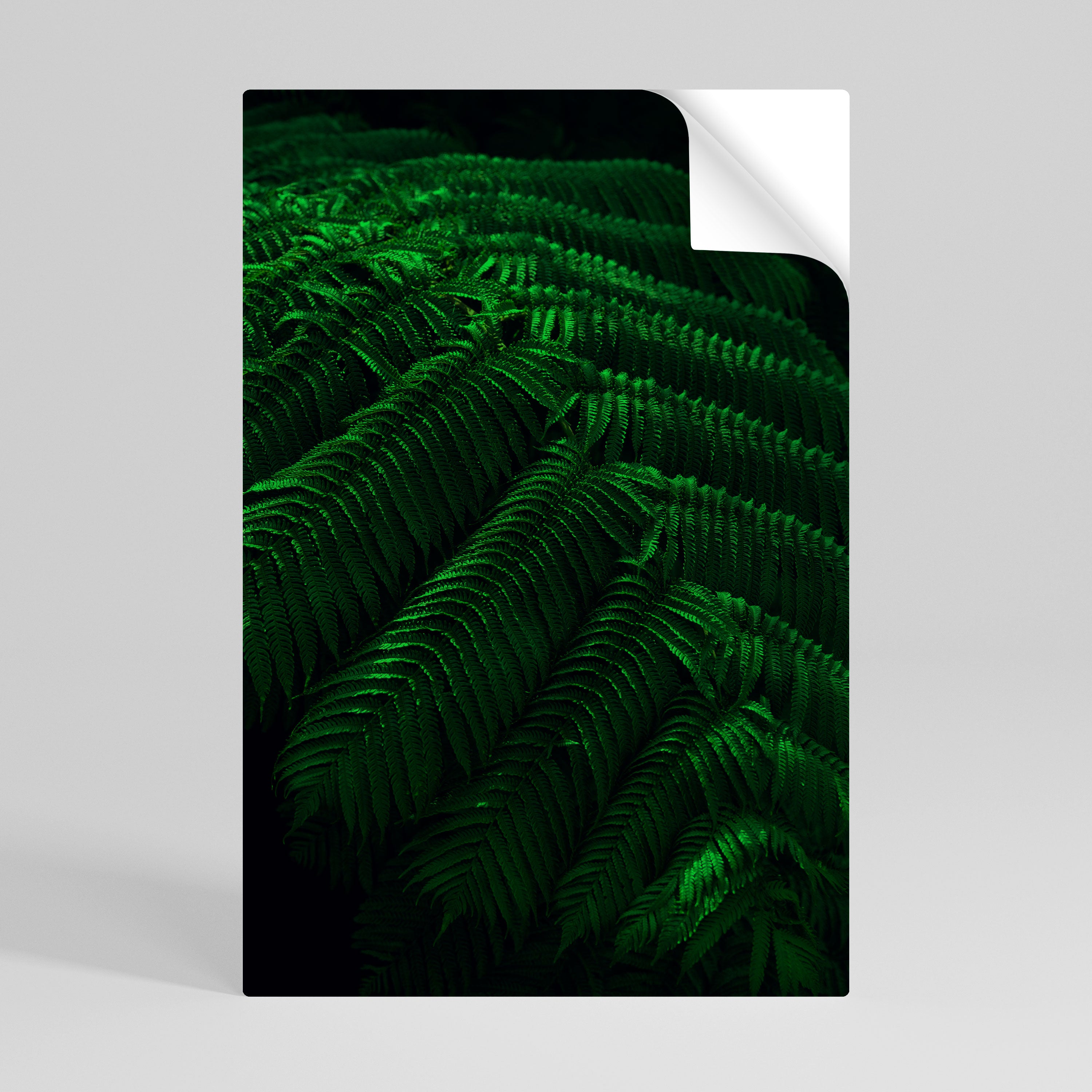 FERN FANTASY Peel and Stick Vertical Poster