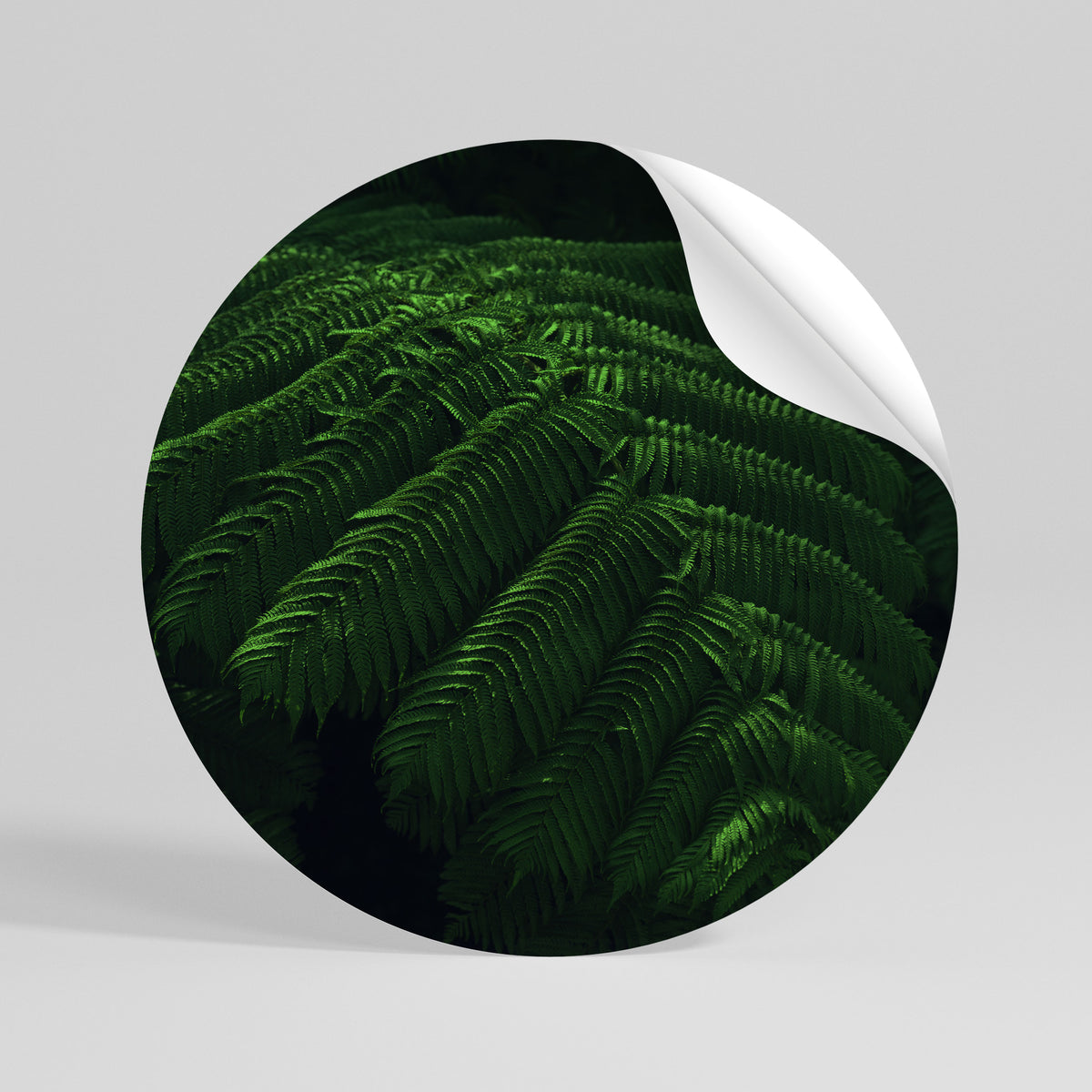 FERN FANTASY Kulatá samolepka
