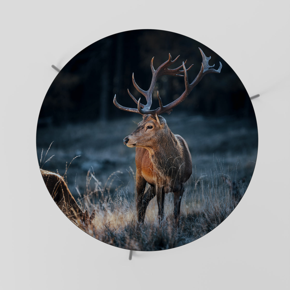 ANTLERED REGALITY Konferenční stolek
