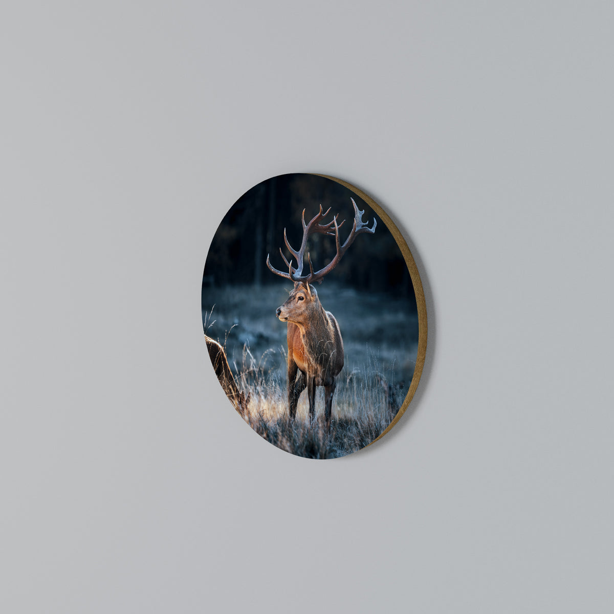 ANTLERED REGALITY Kulatá nástěnná dekorace