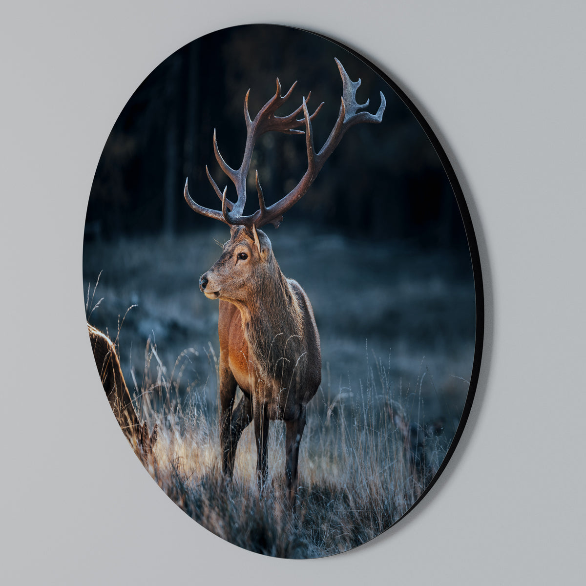 ANTLERED REGALITY Kulatá nástěnná dekorace