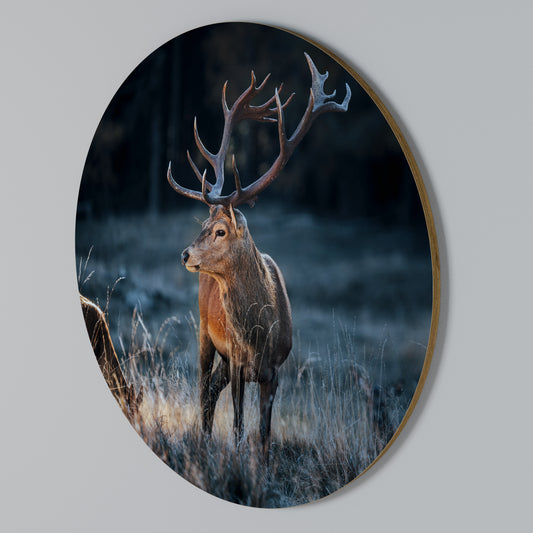 ANTLERED REGALITY Kulatá nástěnná dekorace