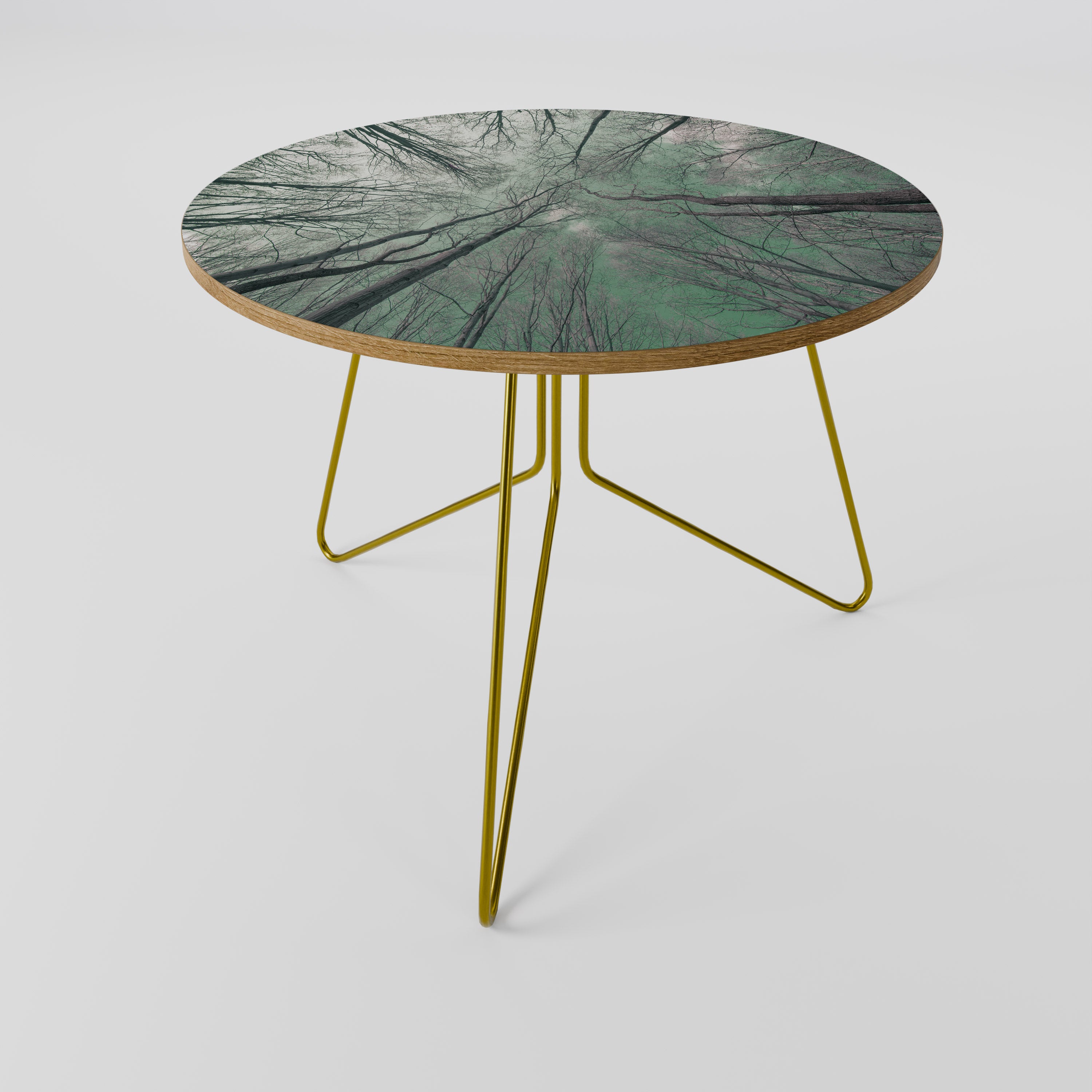 SKYWARD FANTASIES Coffee Table