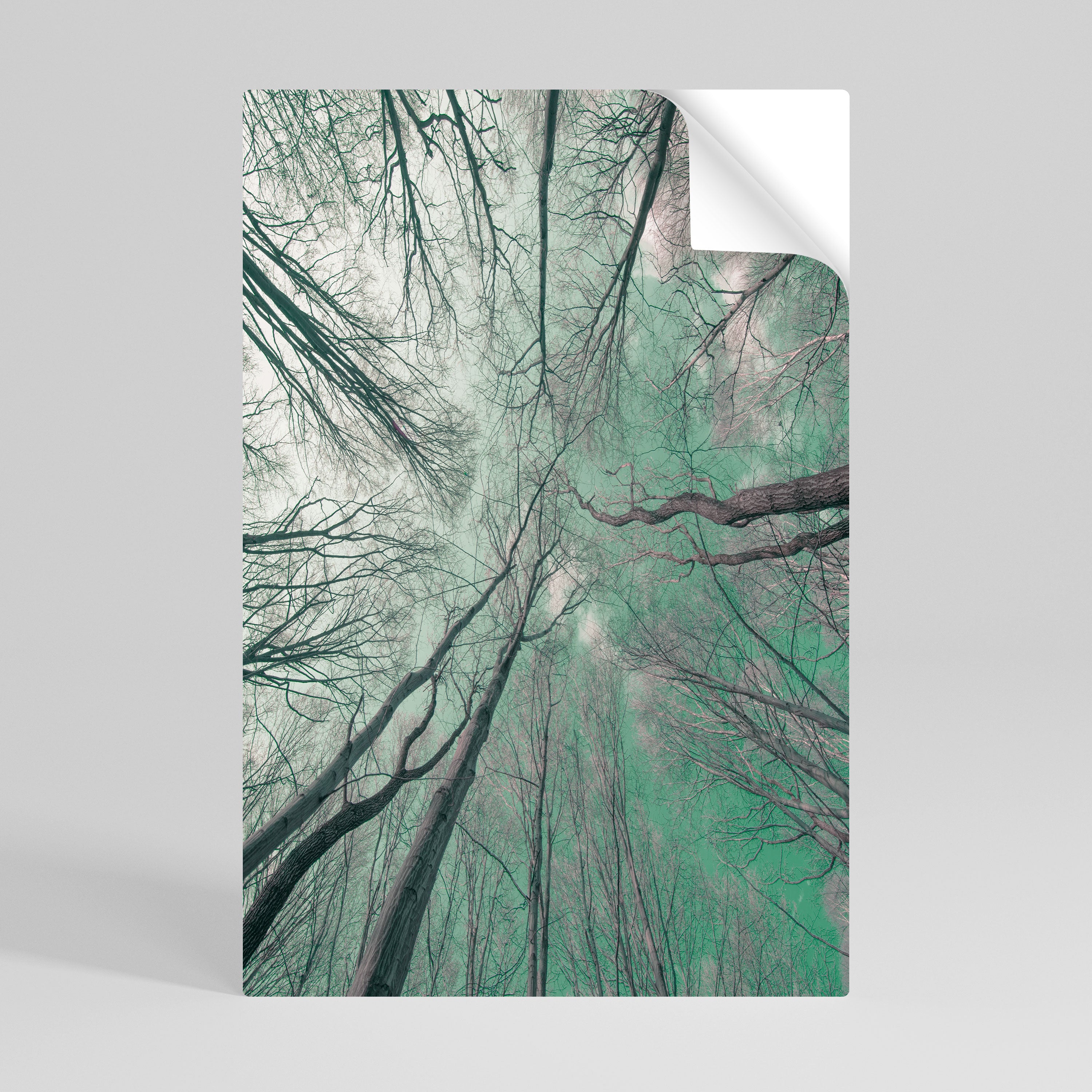 SKYWARD FANTASIES Peel and Stick Vertical Poster