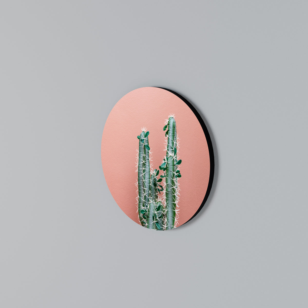 LORD CACTUS Kulatá nástěnná dekorace