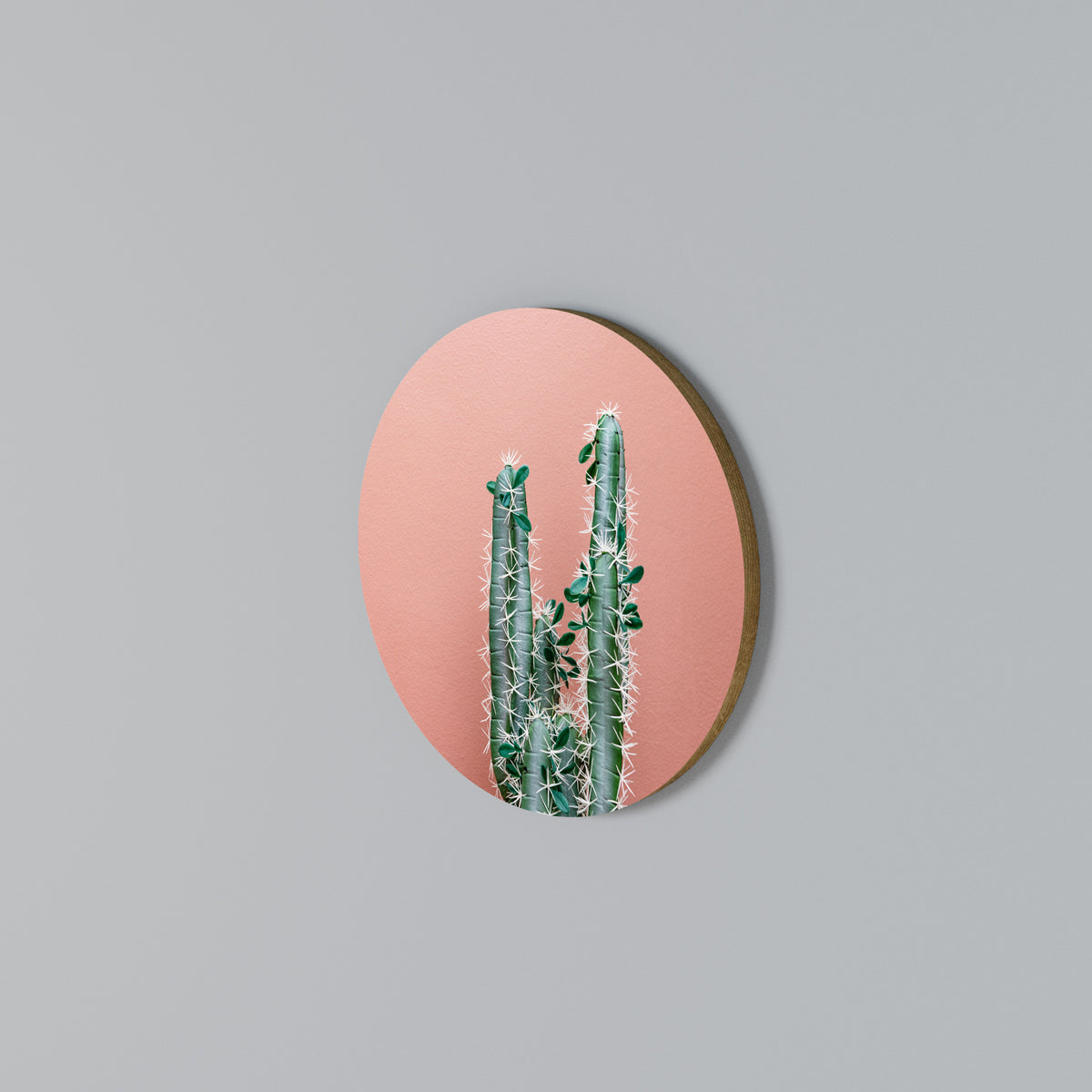 LORD CACTUS Kulatá nástěnná dekorace