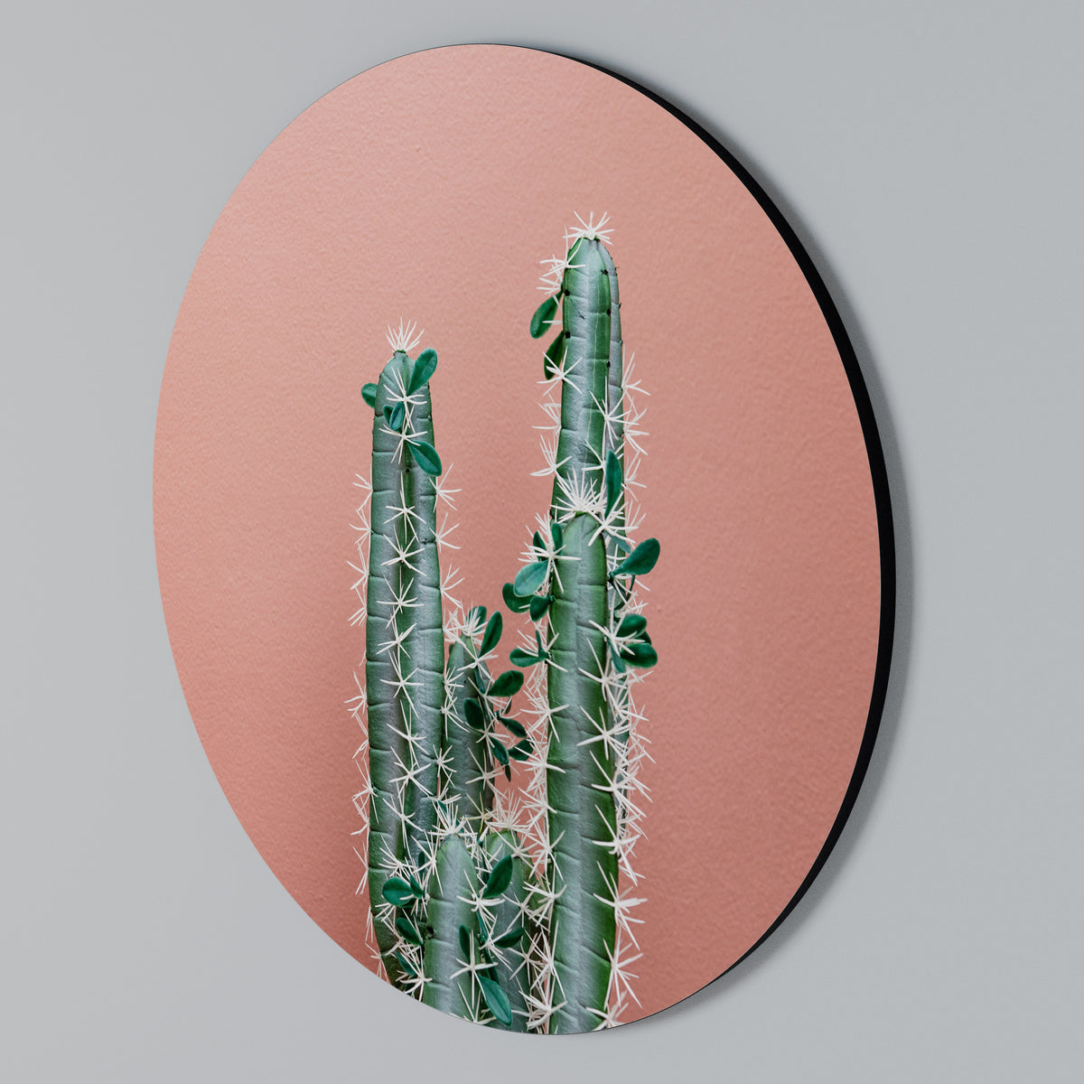 LORD CACTUS Kulatá nástěnná dekorace