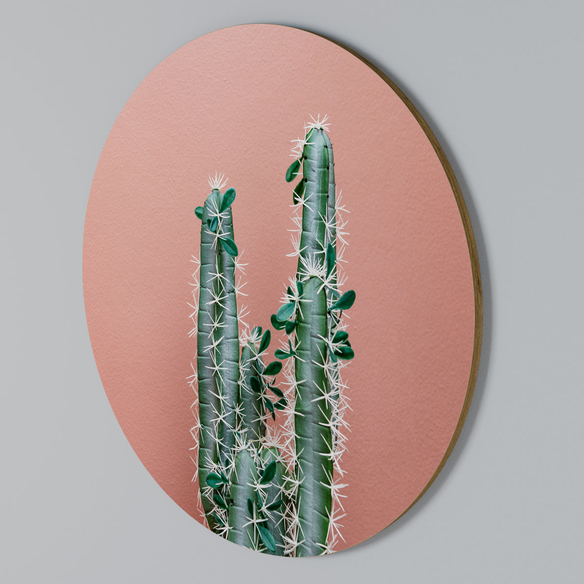 LORD CACTUS Kulatá nástěnná dekorace