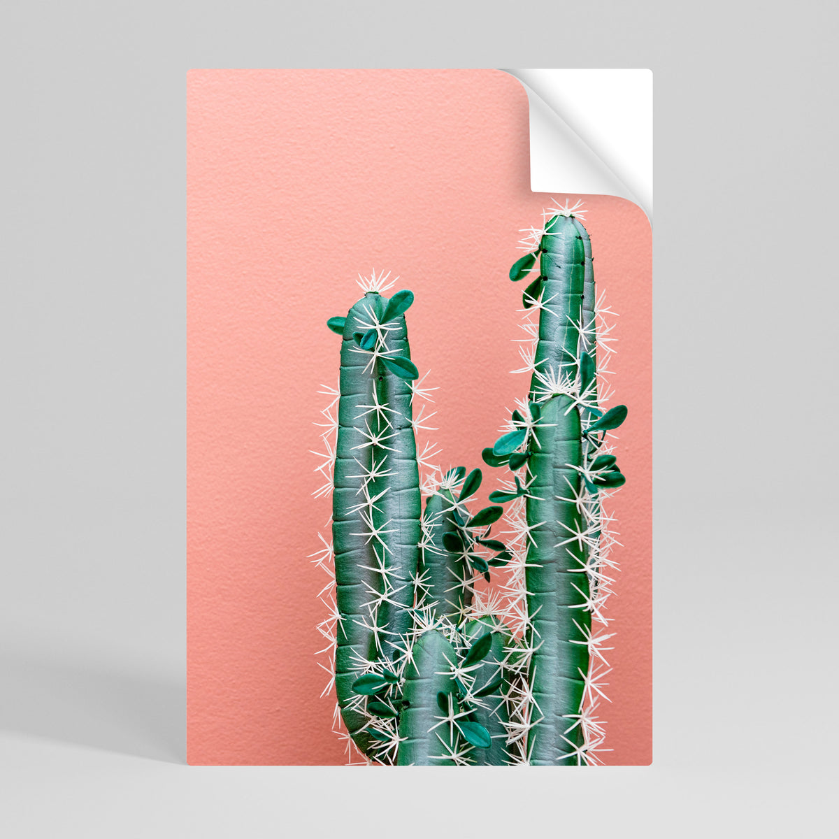 LORD CACTUS Svislý samolepicí plakát