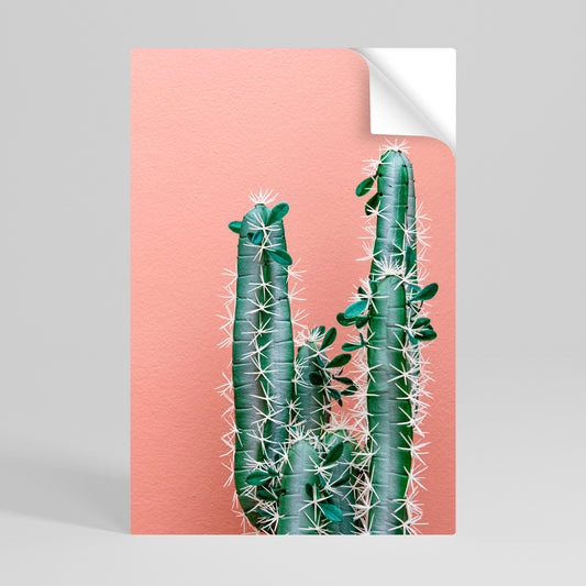 LORD CACTUS Svislý samolepicí plakát