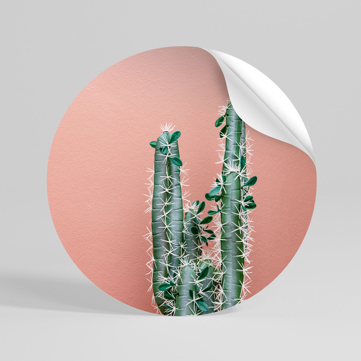 LORD CACTUS Kulatá samolepka