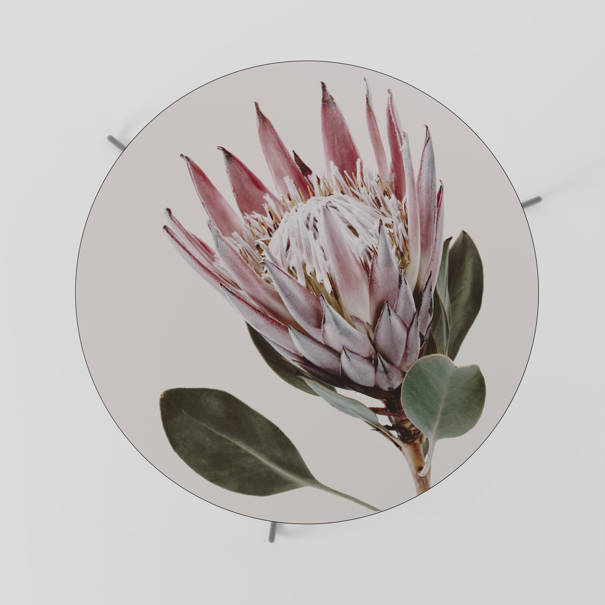 PROTEA FLOWER Konferenční stolek