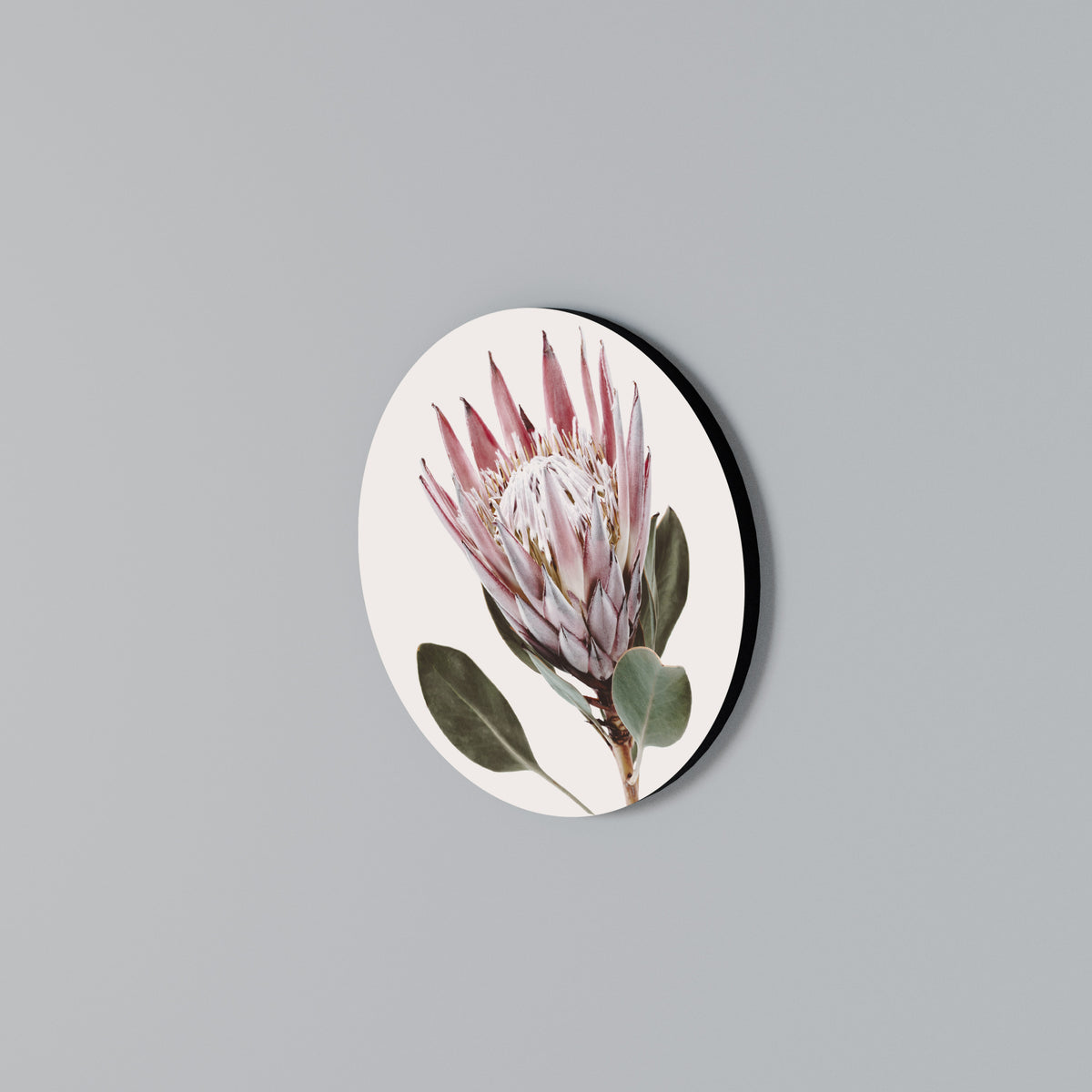PROTEA FLOWER Kulatá nástěnná dekorace