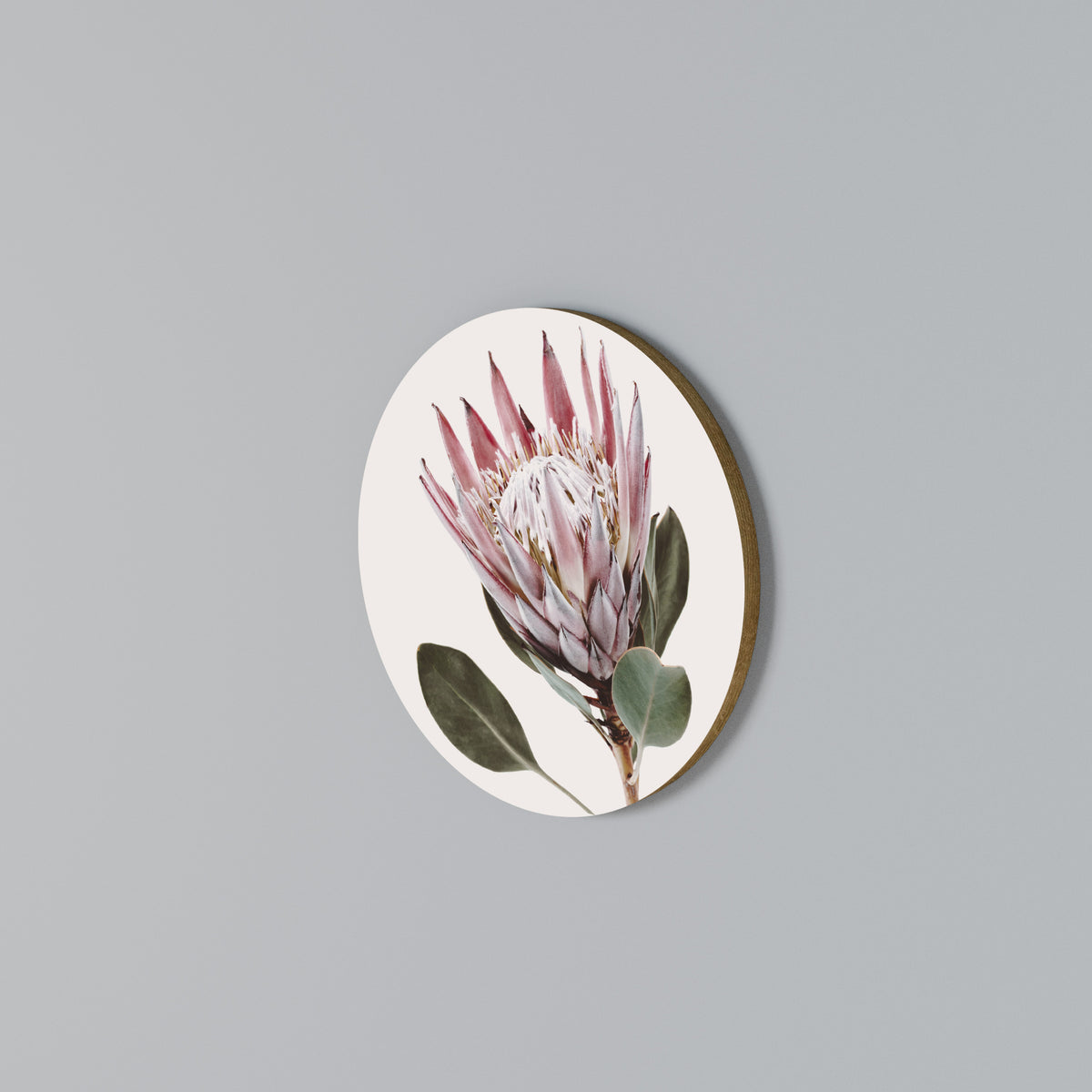 PROTEA FLOWER Kulatá nástěnná dekorace