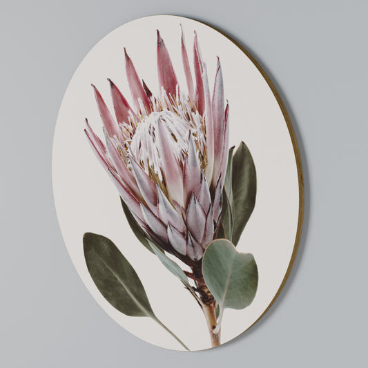 PROTEA FLOWER Kulatá nástěnná dekorace