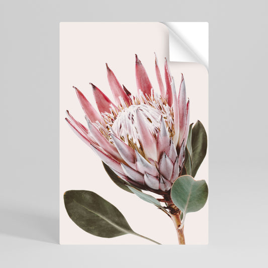 PROTEA FLOWER Svislý samolepicí plakát