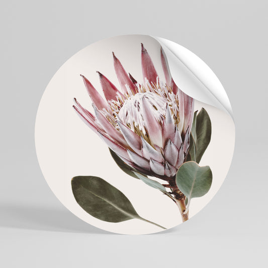 PROTEA FLOWER Kulatá samolepka