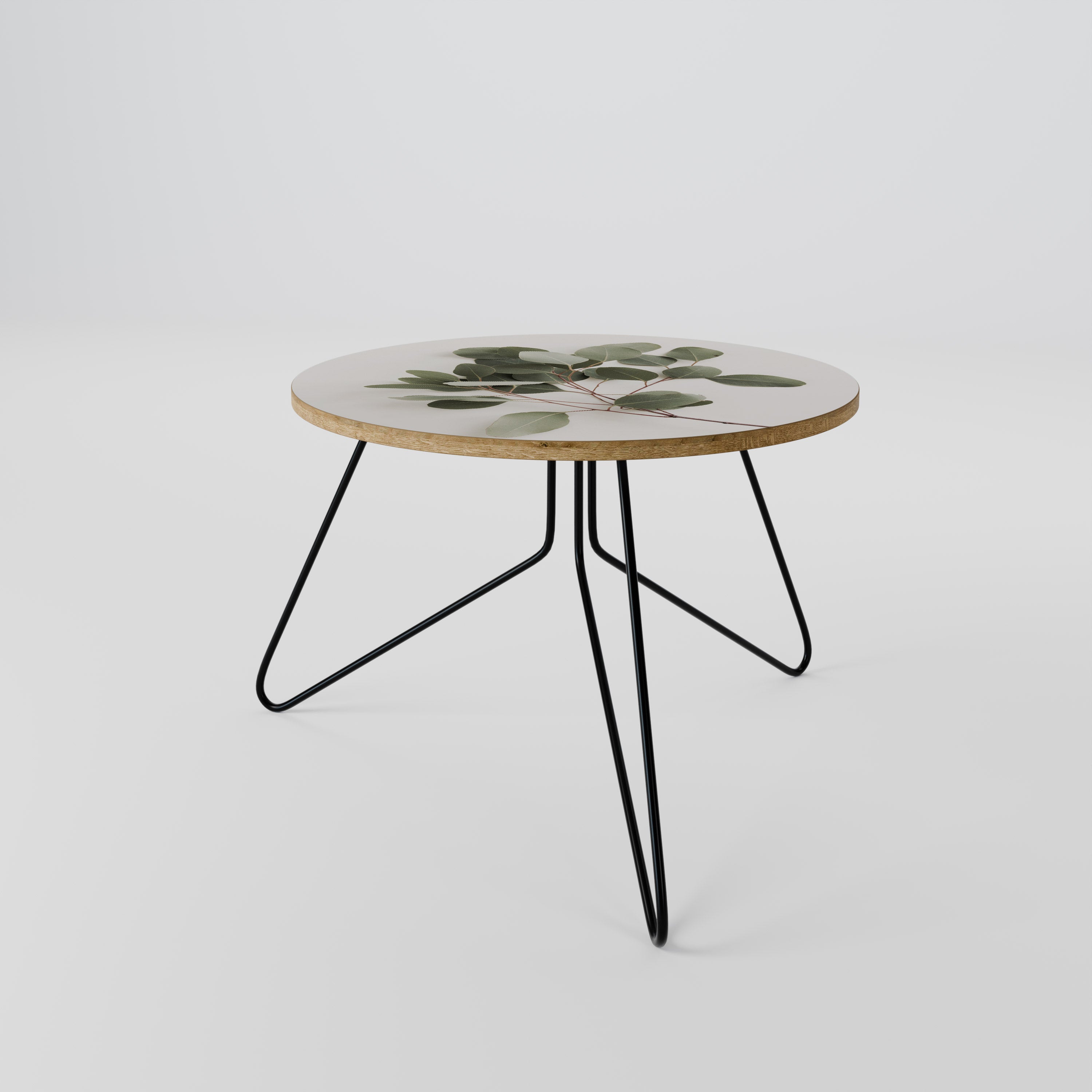 EUCALYPTUS BRANCH Coffee Table
