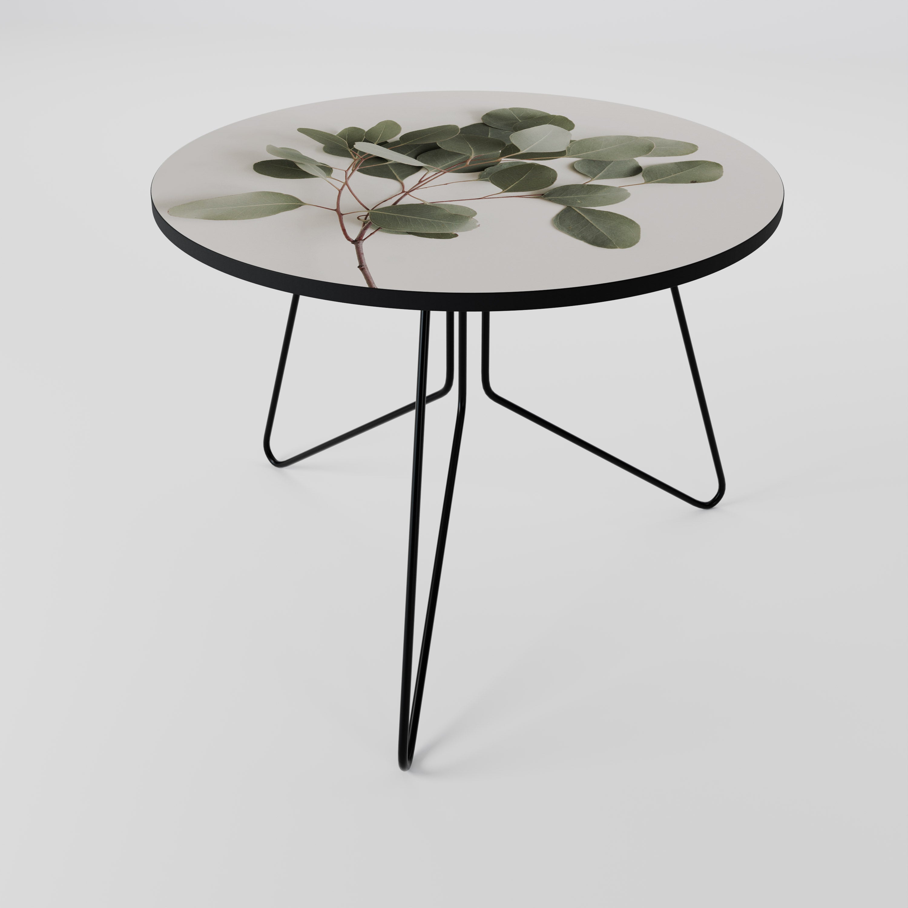 EUCALYPTUS BRANCH Coffee Table
