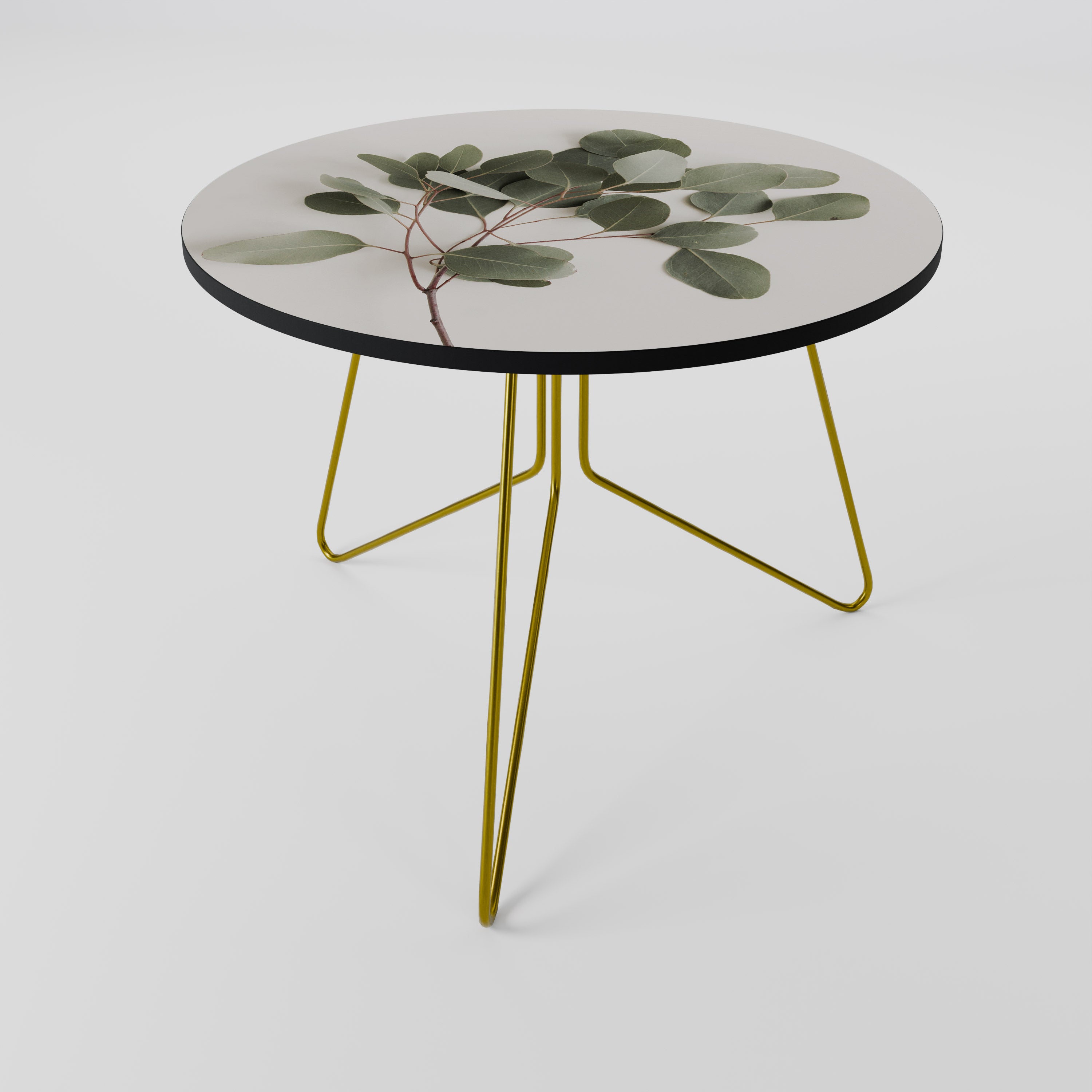 EUCALYPTUS BRANCH Coffee Table