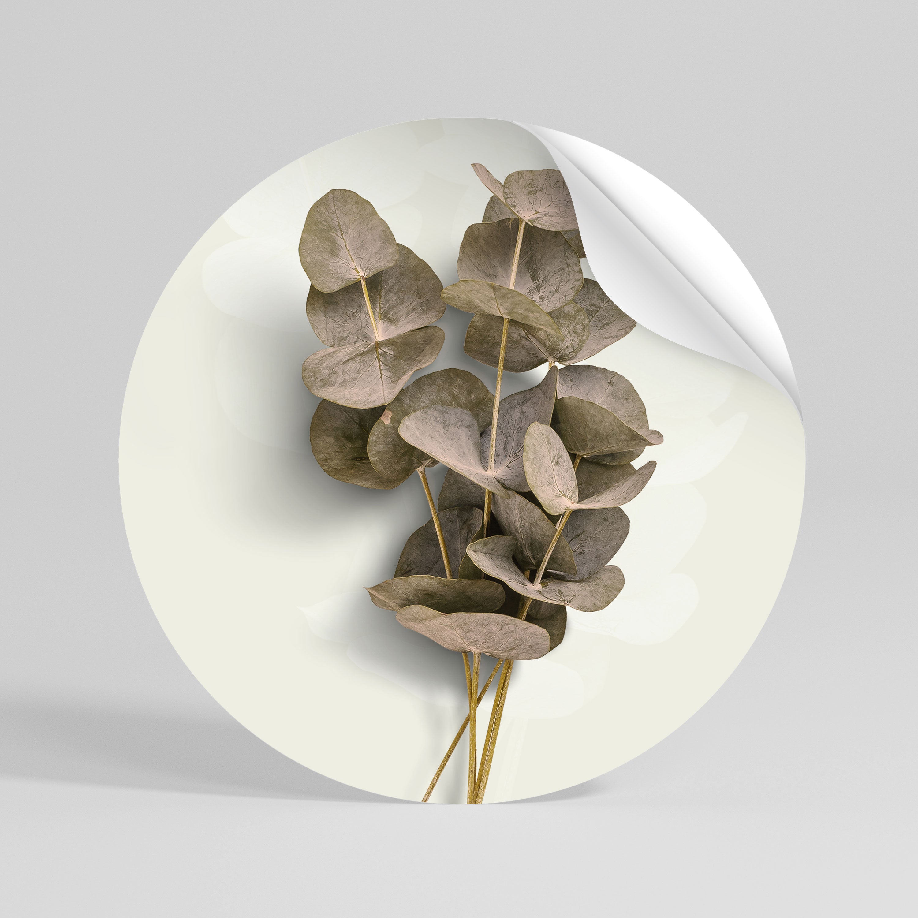 TIMELESS GREENERY Kulatá samolepka