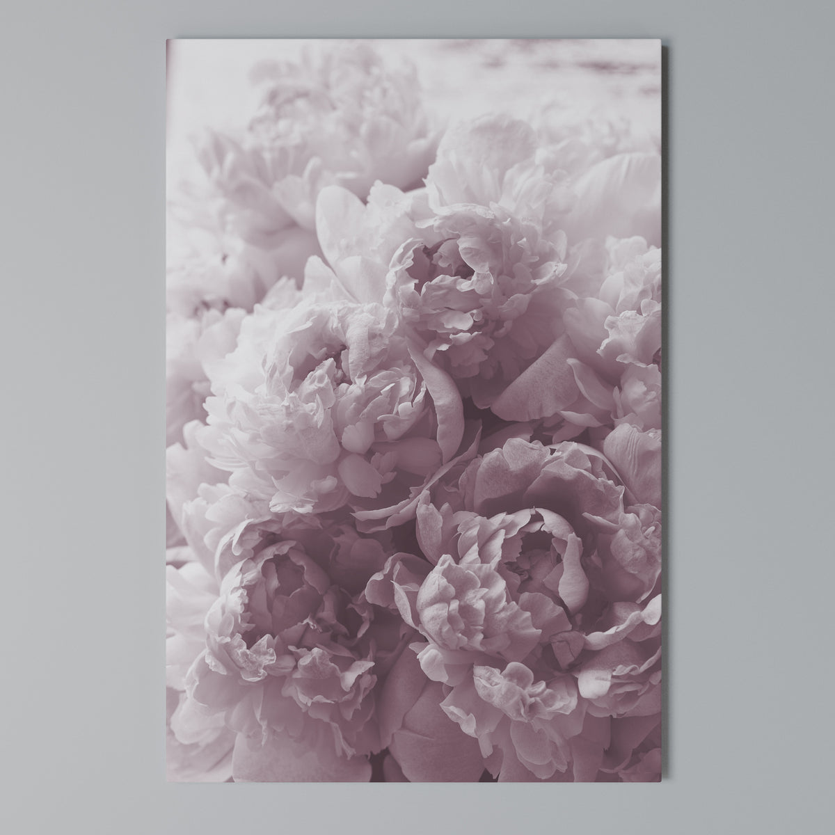 BLUSHED SERENITY Vertical Canvas Print