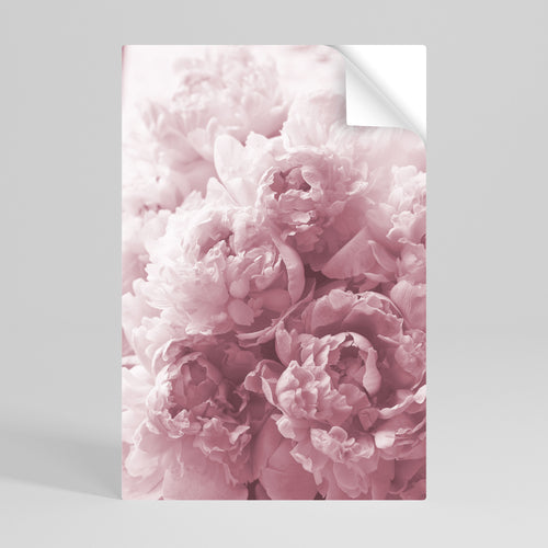 BLUSHED SERENITY Svislý samolepicí plakát