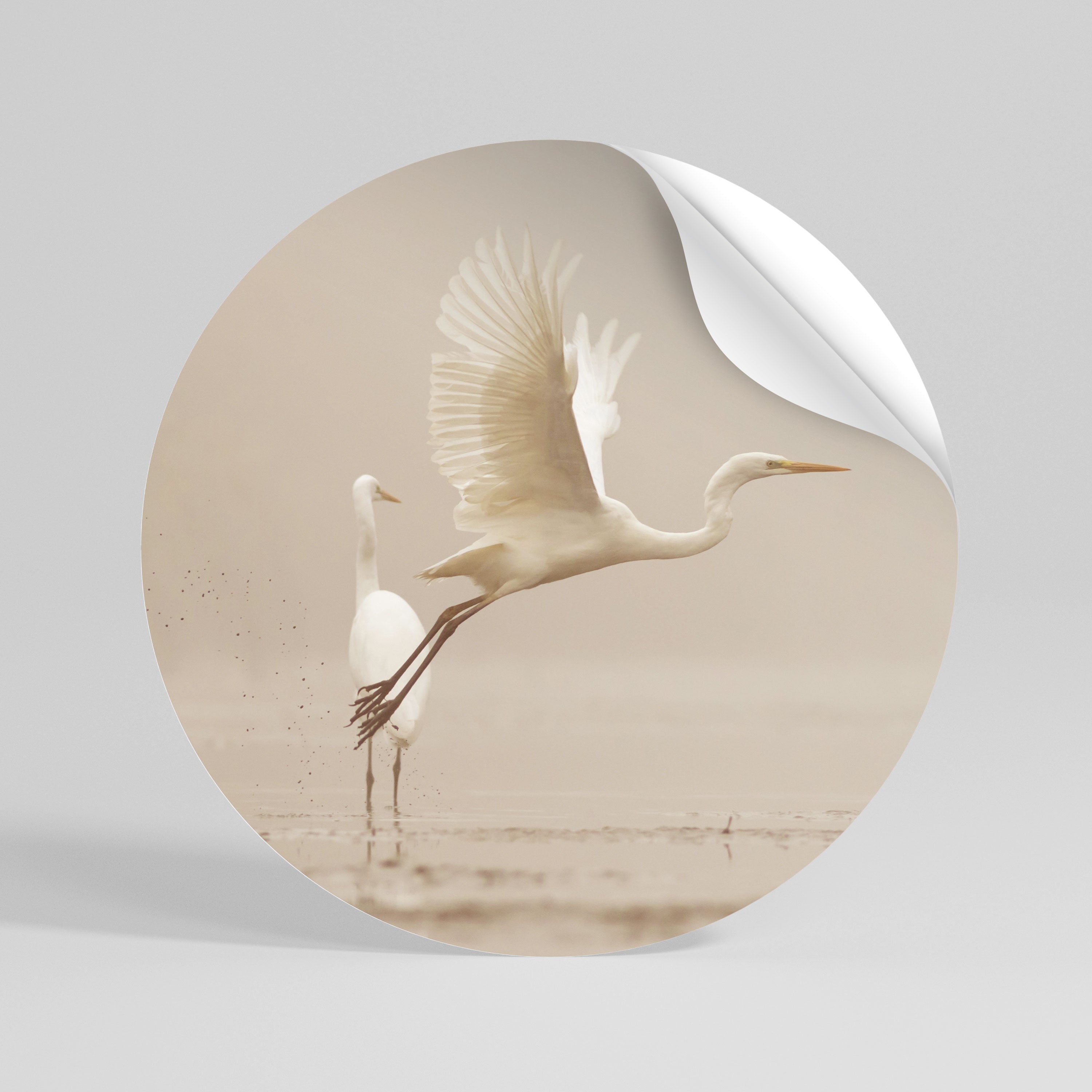 ELEGANT ASCENT Kulatá samolepka