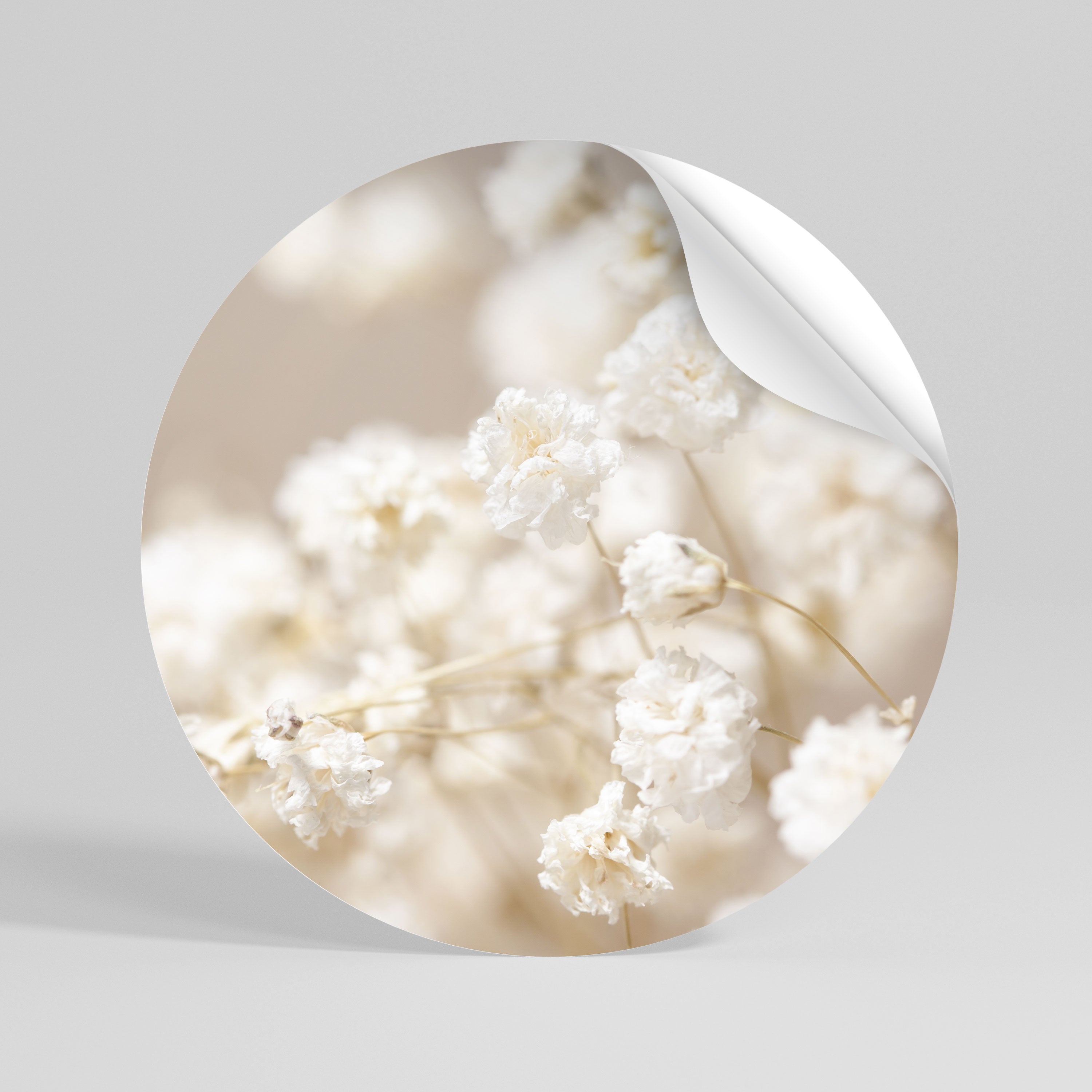 GHOSTLY BLOOM Kulatá samolepka