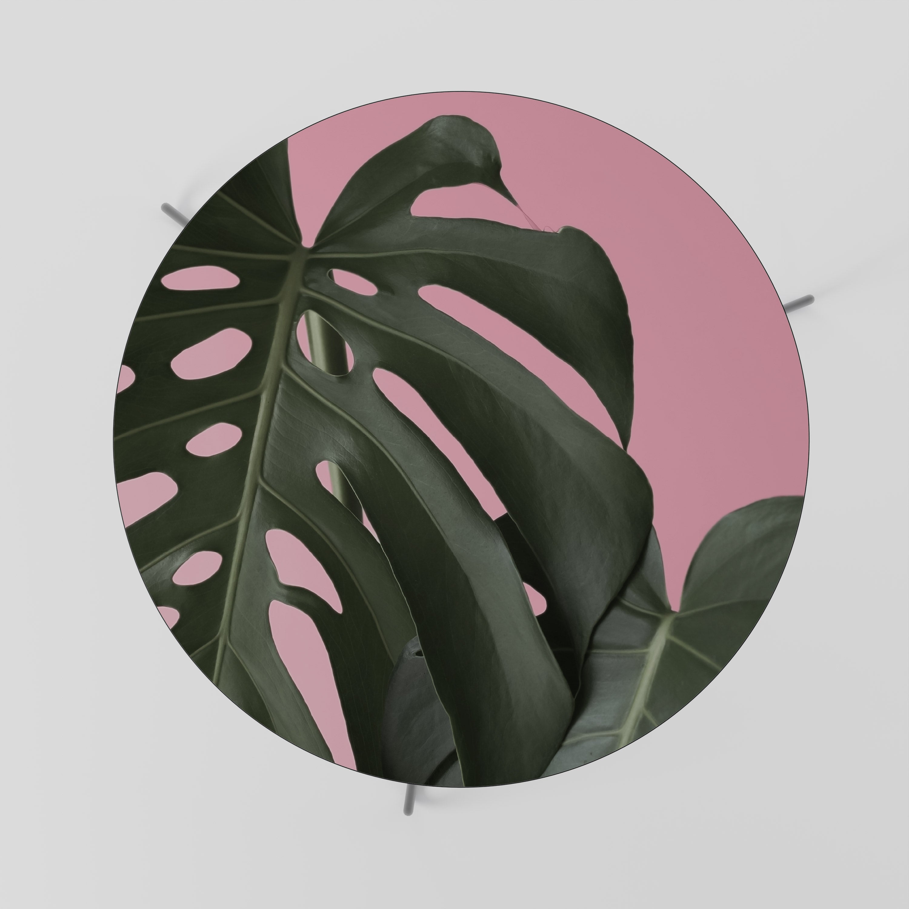 LADY MONSTERA Konferenční stolek