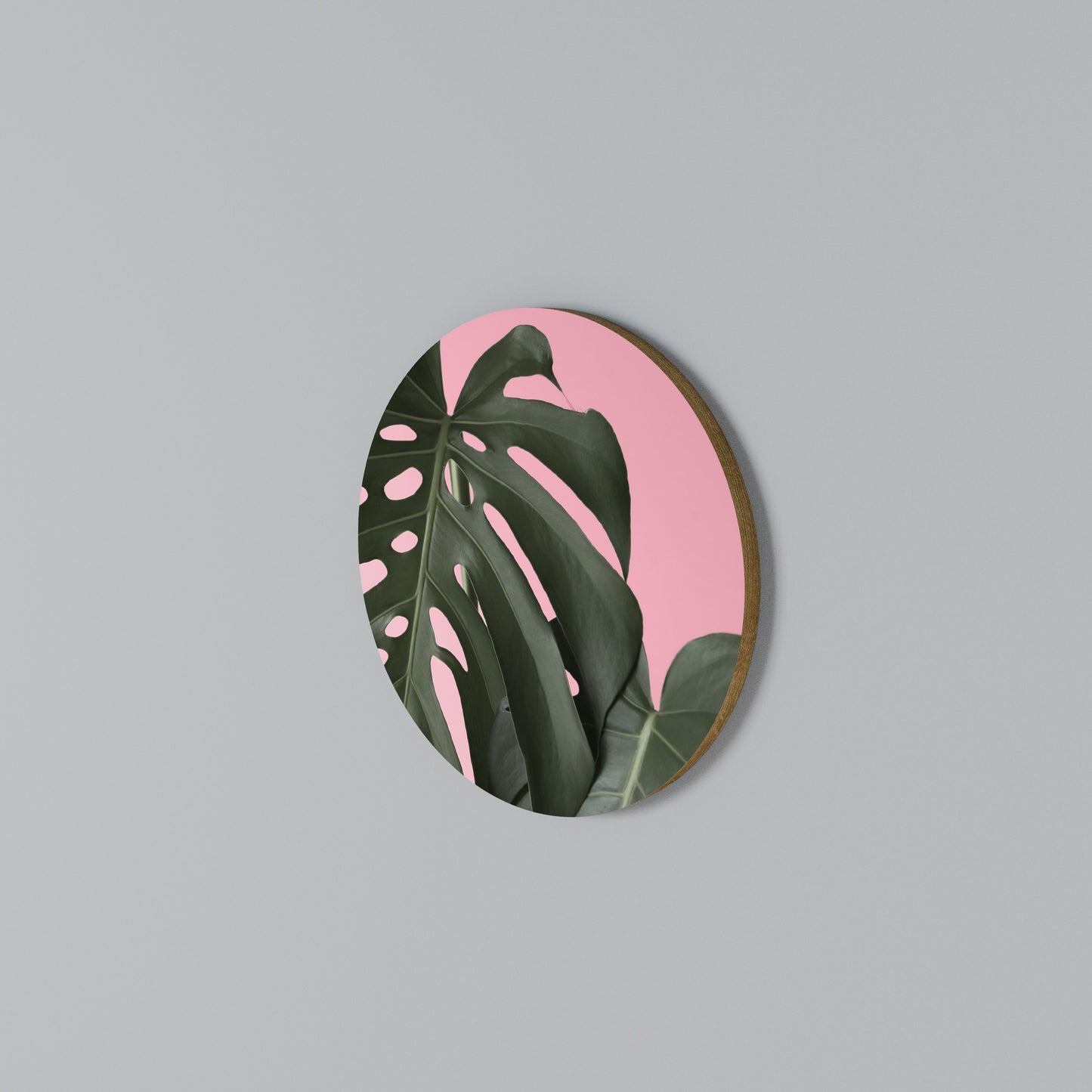 LADY MONSTERA Kulatá nástěnná dekorace