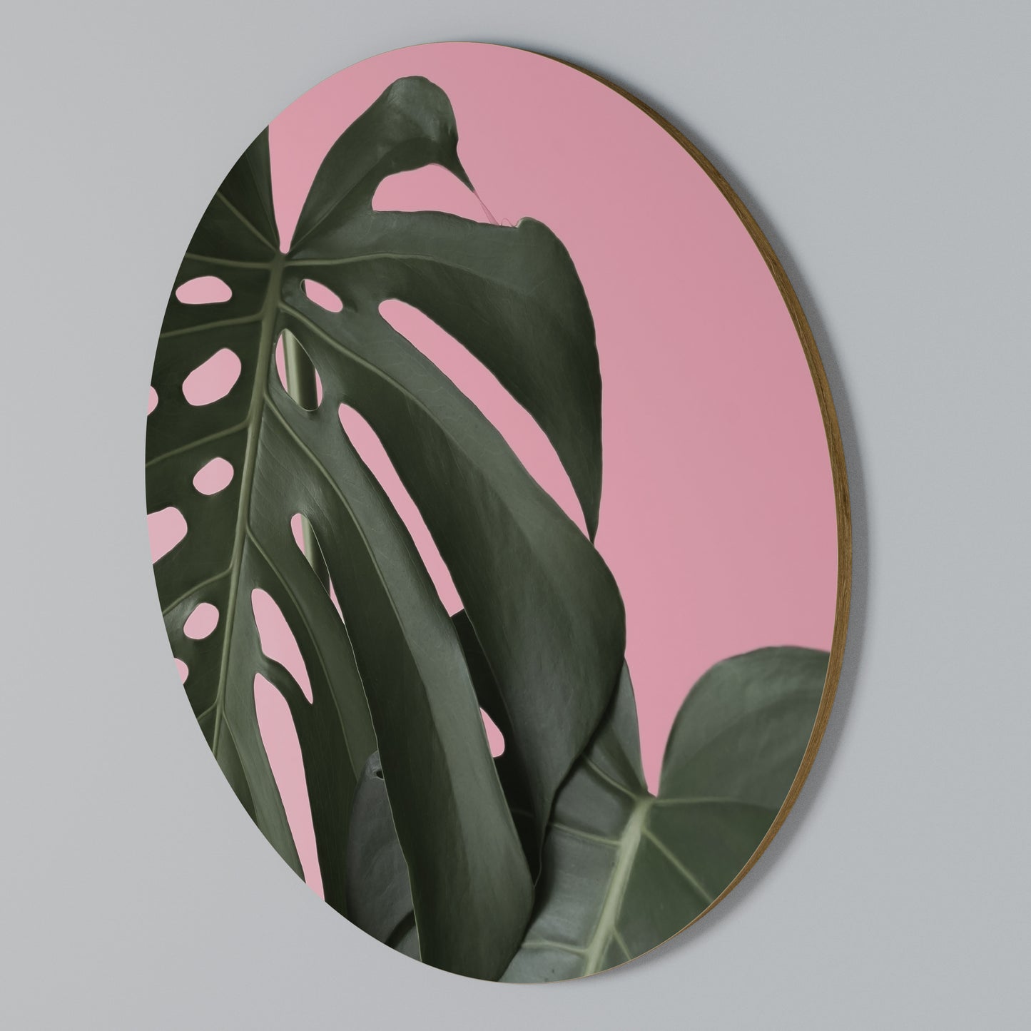 LADY MONSTERA Kulatá nástěnná dekorace