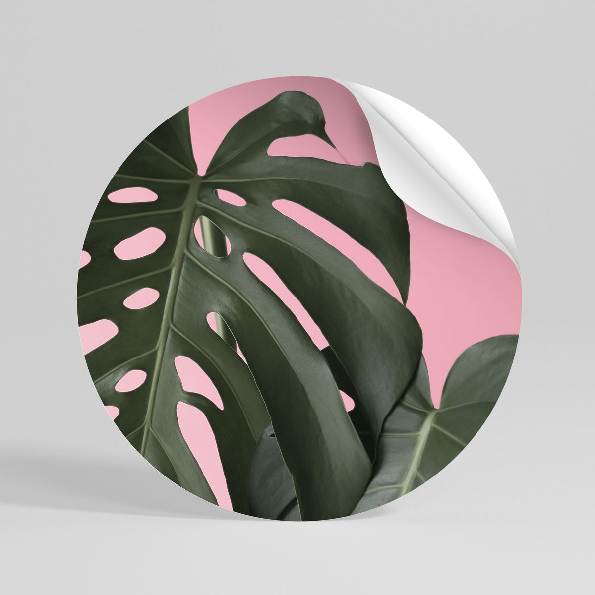 LADY MONSTERA Kulatá samolepka