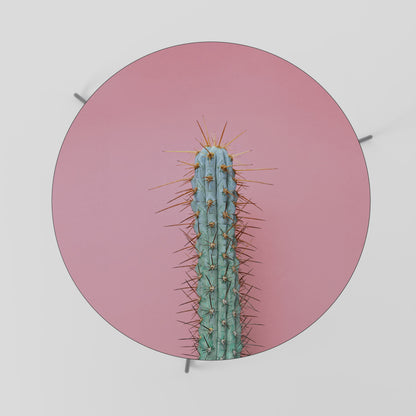 MISTER CACTUS Konferenční stolek