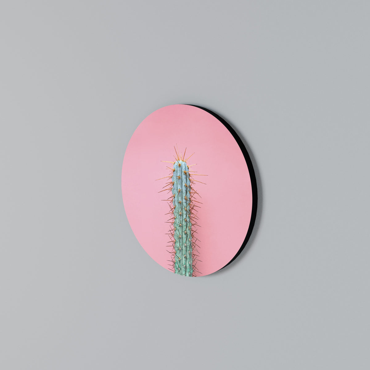 MISTER CACTUS Kulatá nástěnná dekorace