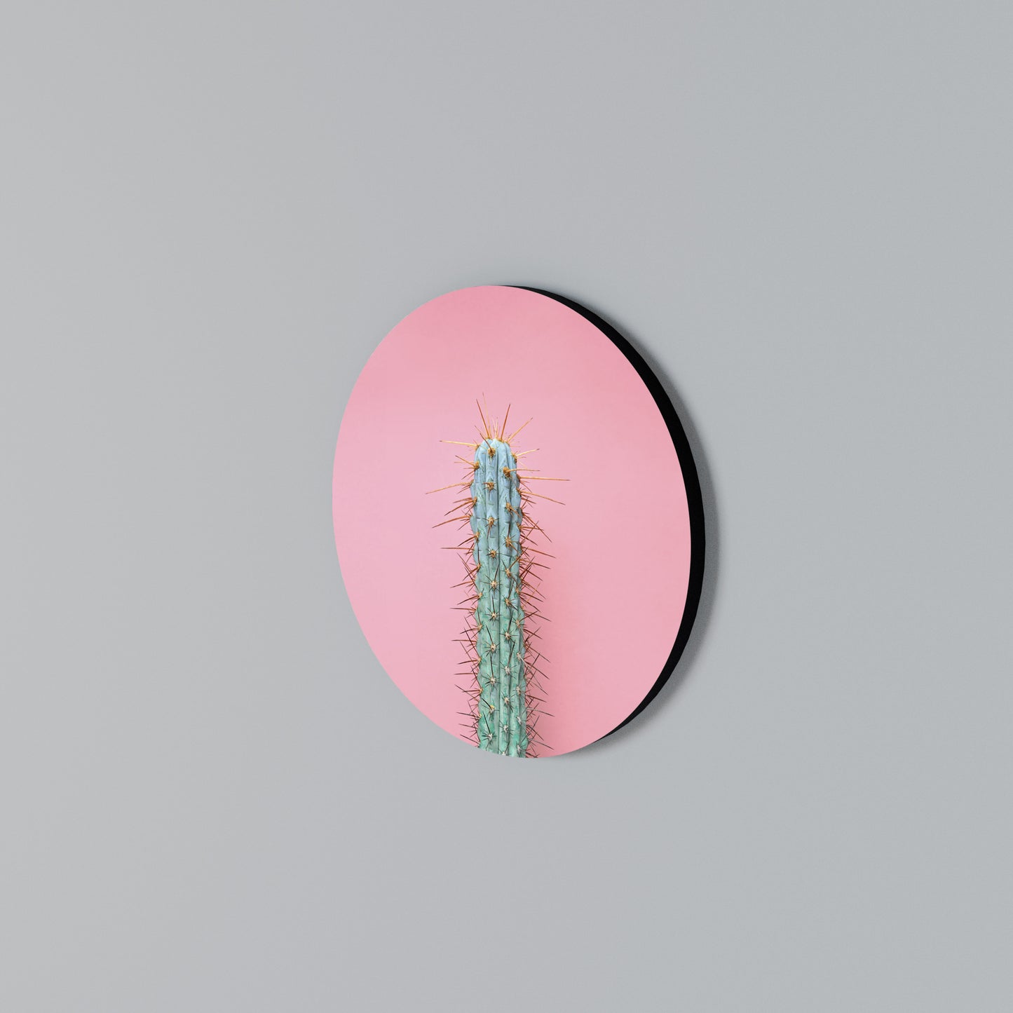 MISTER CACTUS Kulatá nástěnná dekorace