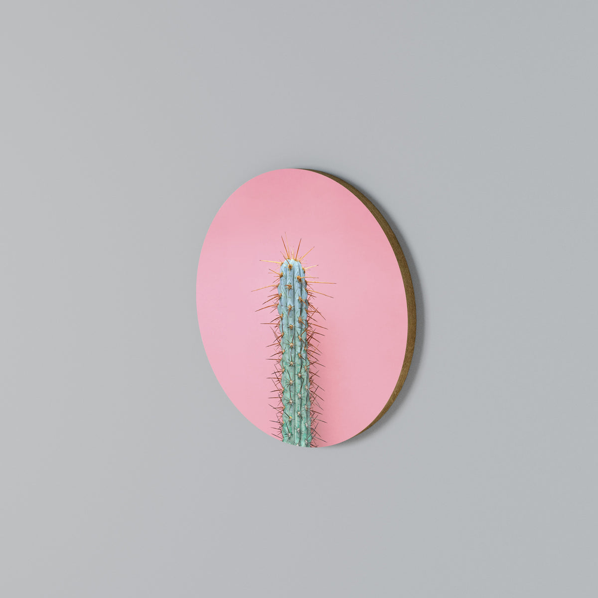 MISTER CACTUS Kulatá nástěnná dekorace