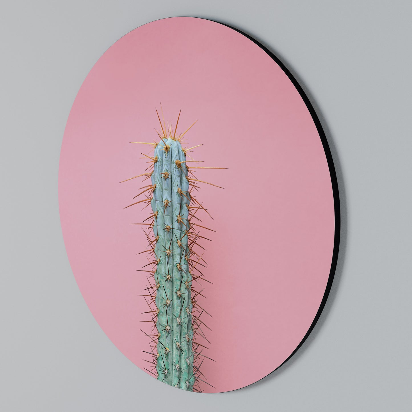 MISTER CACTUS Kulatá nástěnná dekorace