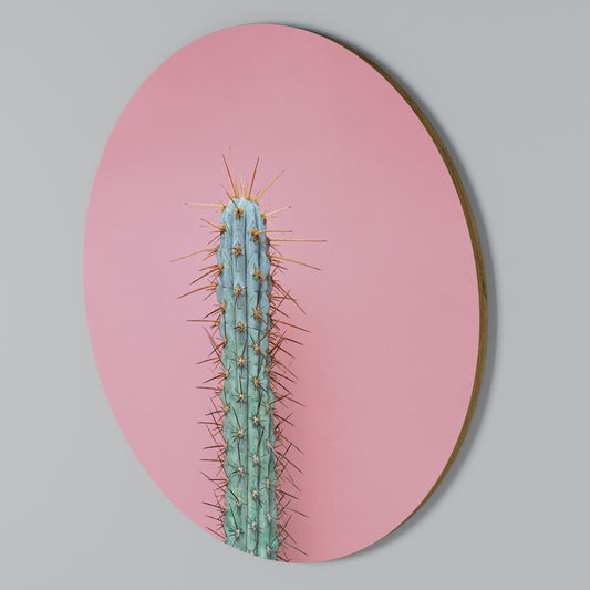 MISTER CACTUS Kulatá nástěnná dekorace