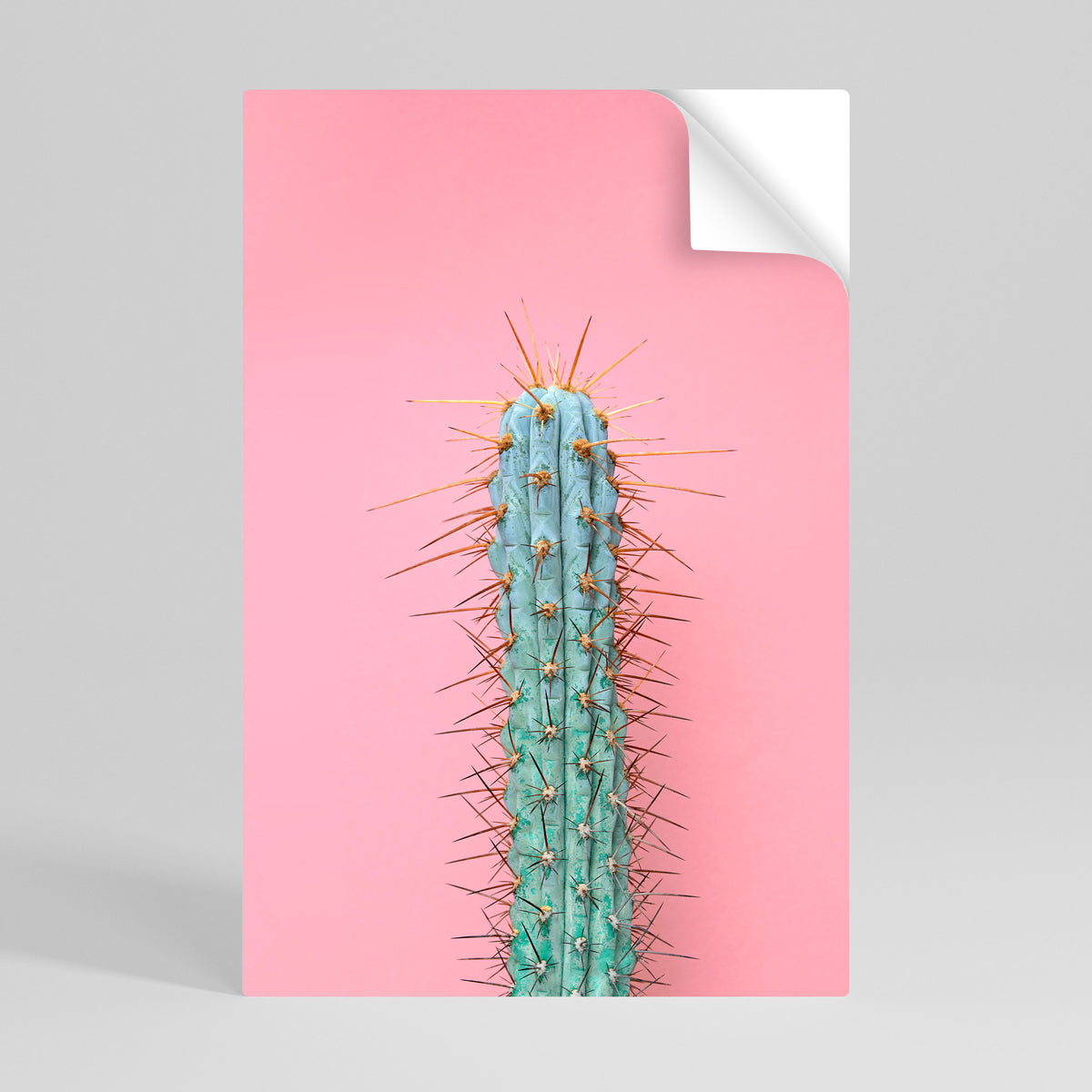 MISTER CACTUS Svislý samolepicí plakát